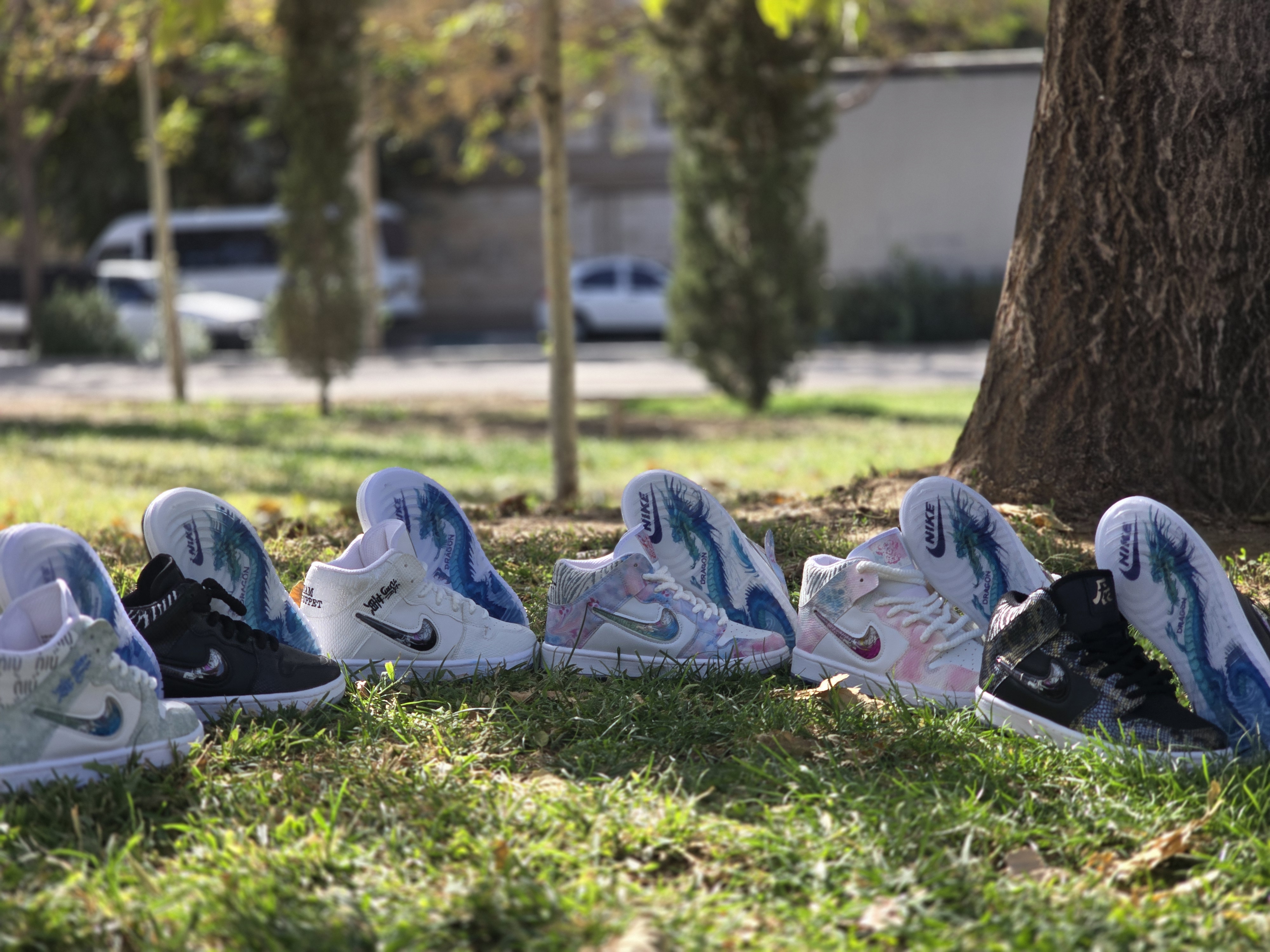 نایک دراگون ساقدار